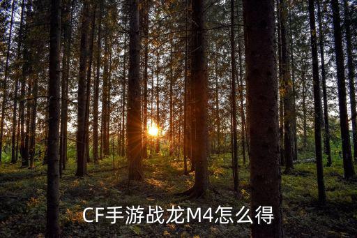 CF手游战龙M4怎么得