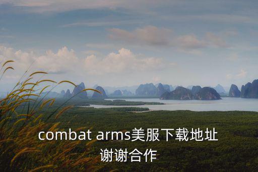 combat arms美服下载地址谢谢合作