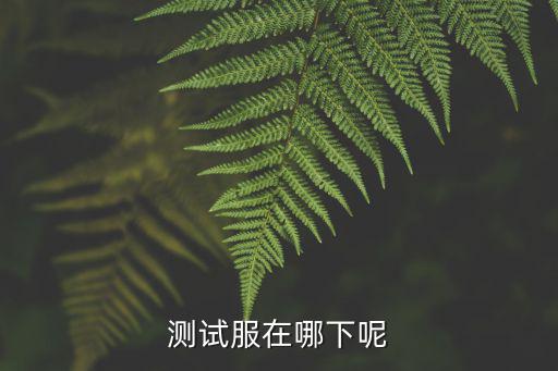 指尖江湖手游内测服怎么下载，测试服40怎么下啊