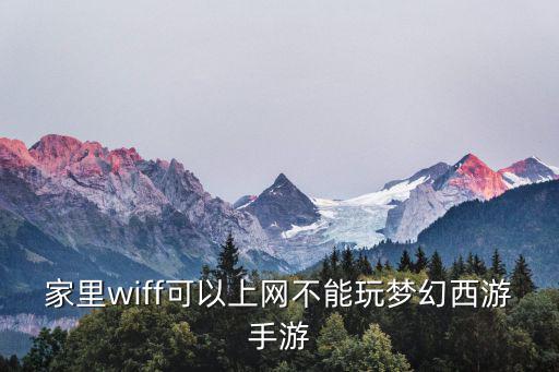 家里wiff可以上网不能玩梦幻西游手游