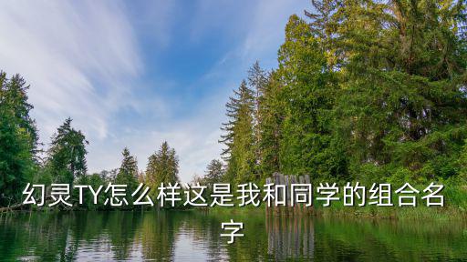 幻灵TY怎么样这是我和同学的组合名字