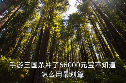 手游三国杀冲了66000元宝不知道怎么用最划算