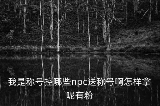 我是称号控哪些npc送称号啊怎样拿呢有粉