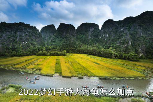 2022梦幻手游大海龟怎么加点