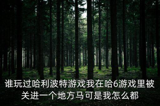 谁玩过哈利波特游戏我在哈6游戏里被关进一个地方马可是我怎么都