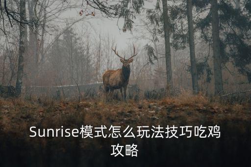 Sunrise模式怎么玩法技巧吃鸡攻略