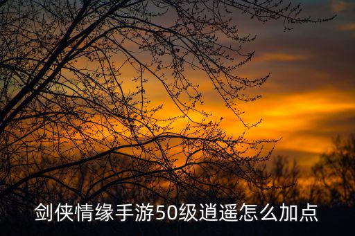 剑侠情缘手游50级逍遥怎么加点