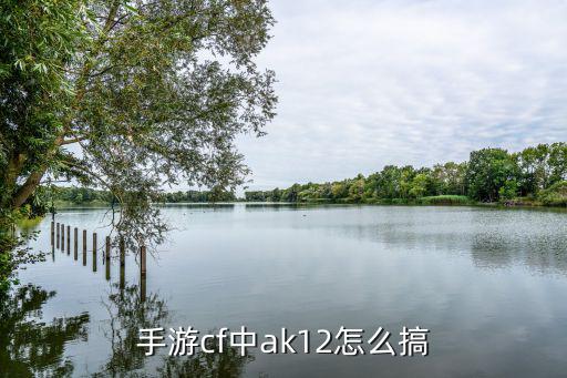 cf手游怎么获得ak12天启，手游cf中ak12怎么搞