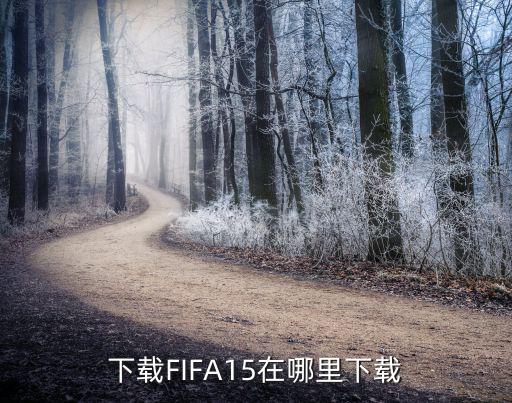 下载FIFA15在哪里下载