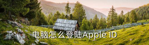 电脑怎么登陆Apple ID