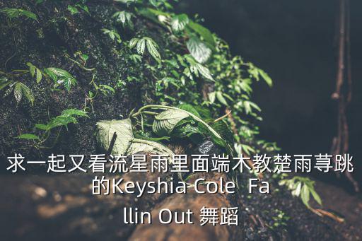 求一起又看流星雨里面端木教楚雨荨跳的Keyshia Cole  Fallin Out 舞蹈