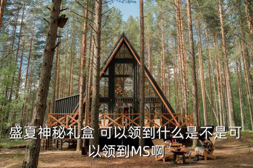 盛夏神秘礼盒 可以领到什么是不是可以领到MS啊