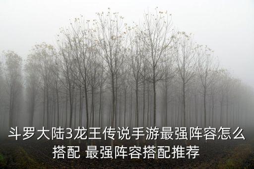 斗罗大陆手游该怎么选择，斗罗大陆游戏我想问先天满魂力的昊天锤邪火凤凰冰凤凰蓝电霸