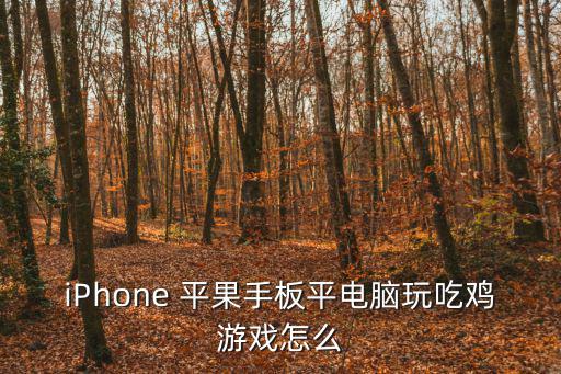 iPhone 平果手板平电脑玩吃鸡游戏怎么