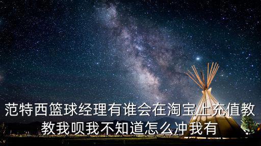 范特西篮球经理有谁会在淘宝上充值教教我呗我不知道怎么冲我有