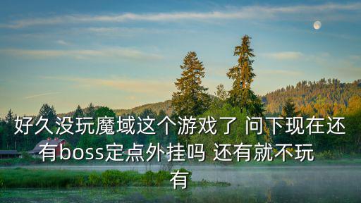 好久没玩魔域这个游戏了 问下现在还有boss定点外挂吗 还有就不玩 有