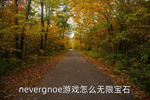 nevergnoe游戏怎么无限宝石