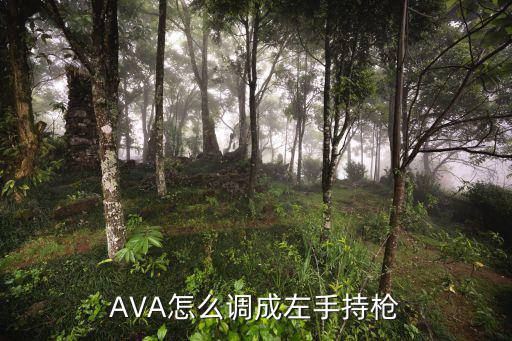 AVA怎么调成左手持枪