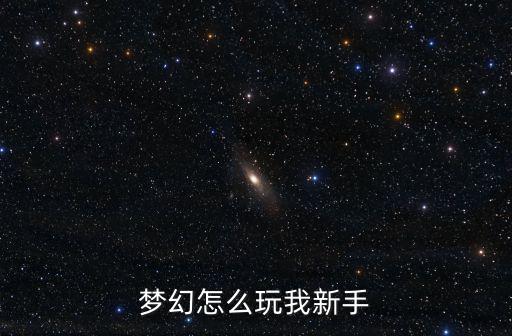 梦幻怎么玩我新手