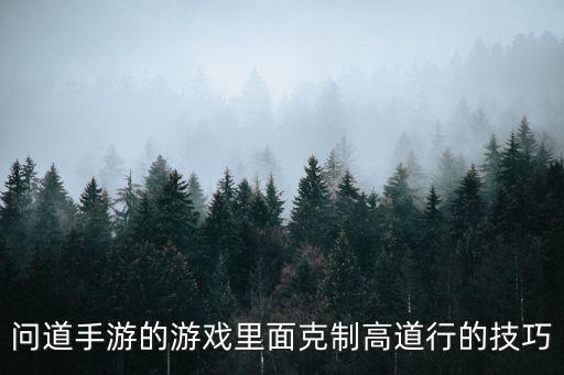 问道手游的游戏里面克制高道行的技巧