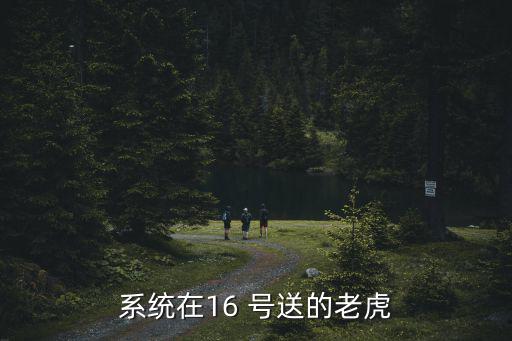 系统在16 号送的老虎