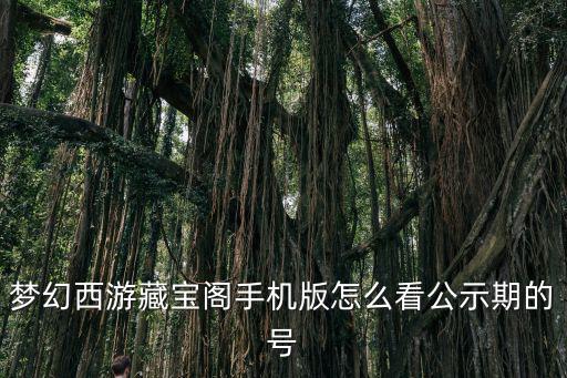 梦幻西游藏宝阁手机版怎么看公示期的号