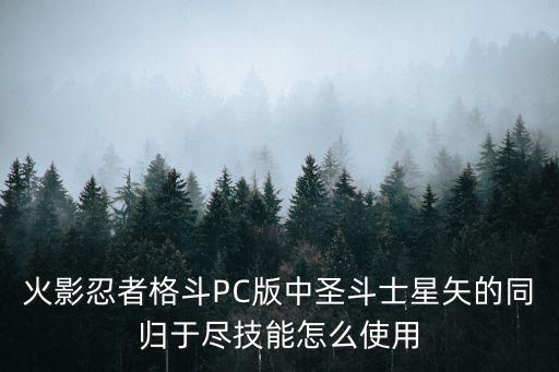 火影忍者格斗PC版中圣斗士星矢的同归于尽技能怎么使用