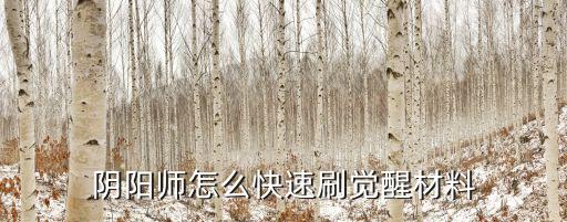 阴阳师怎么快速刷觉醒材料