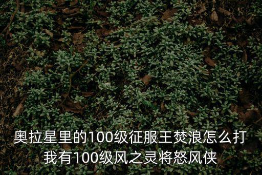 奥拉星里的100级征服王焚浪怎么打我有100级风之灵将怒风侠