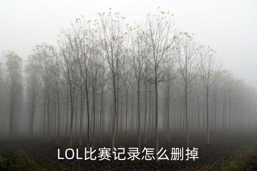 LOL比赛记录怎么删掉