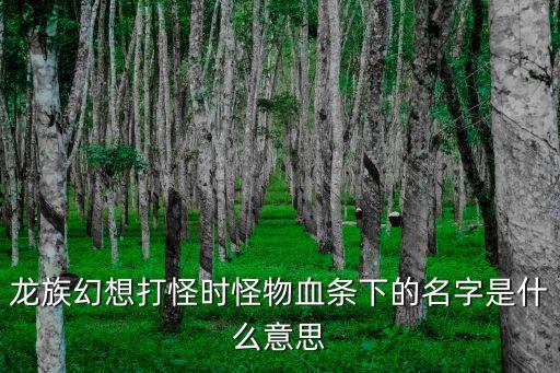 龙族幻想打怪时怪物血条下的名字是什么意思