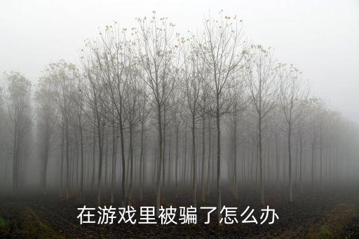 华星创展手游被骗怎么办，玩游戏被骗钱怎么办