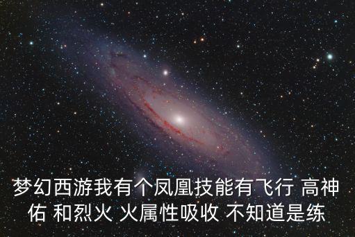 梦幻西游我有个凤凰技能有飞行 高神佑 和烈火 火属性吸收 不知道是练