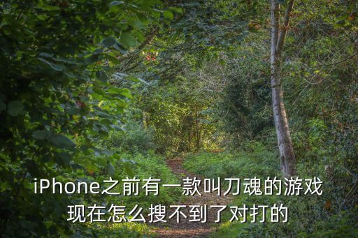 iPhone之前有一款叫刀魂的游戏现在怎么搜不到了对打的