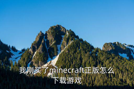 我刚买了minecraft正版怎么下载游戏