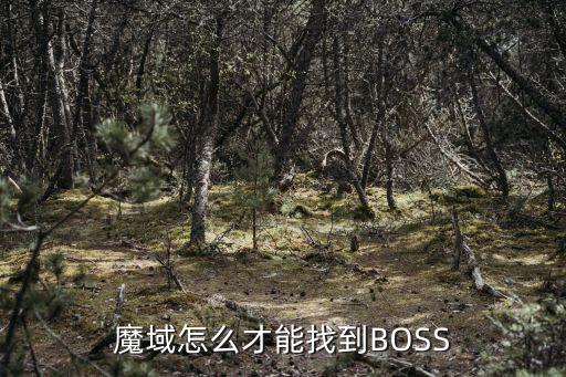 魔域怎么才能找到BOSS