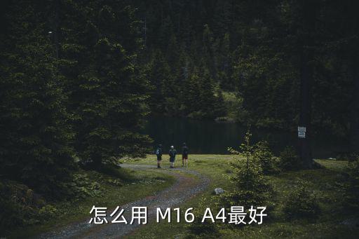 怎么用 M16 A4最好