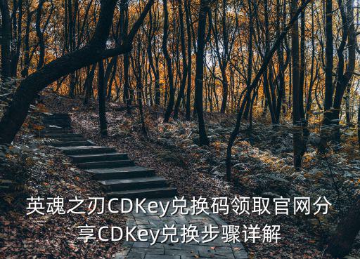 英魂之刃手游cdk怎么换，英魂之刃cdkey怎么换布丁