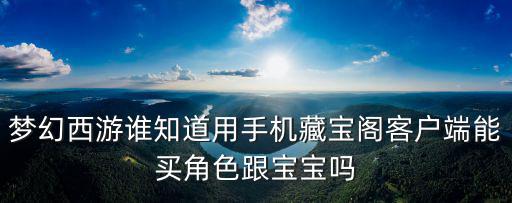 梦幻西游谁知道用手机藏宝阁客户端能买角色跟宝宝吗