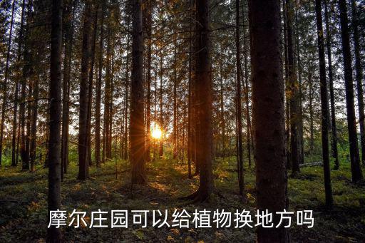 摩尔庄园可以给植物换地方吗