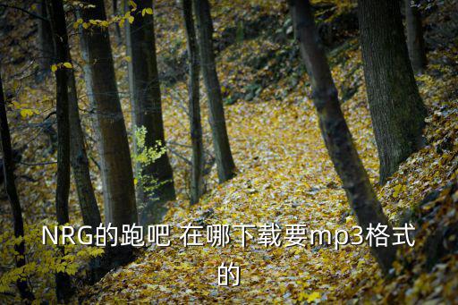 NRG的跑吧 在哪下载要mp3格式的