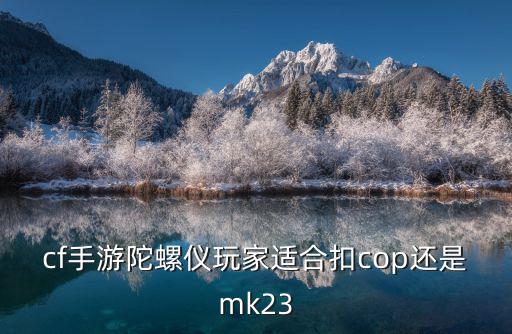 cf手游陀螺仪玩家适合扣cop还是mk23