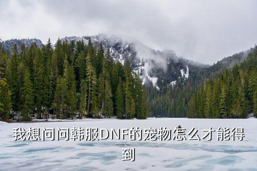 我想问问韩服DNF的宠物怎么才能得到