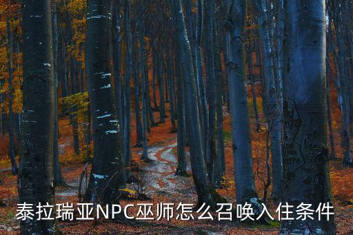 泰拉瑞亚NPC巫师怎么召唤入住条件