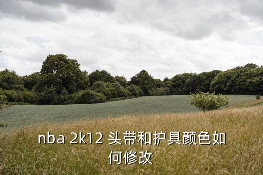 nba 2k12 头带和护具颜色如何修改