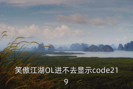 笑傲江湖OL进不去显示code219