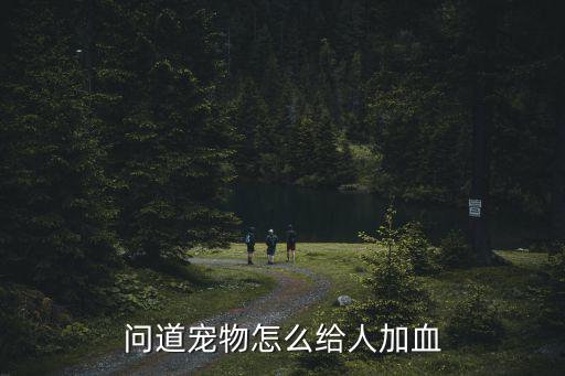 问道宠物怎么给人加血