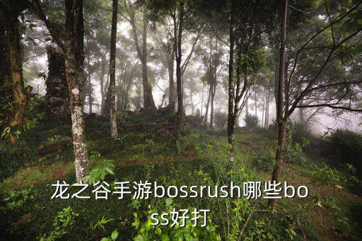 龙之谷手游bossrush哪些boss好打