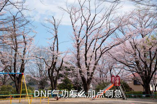 DNF气功怎么加点啊急