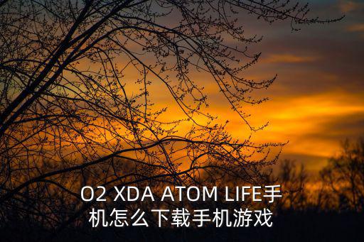 O2 XDA ATOM LIFE手机怎么下载手机游戏